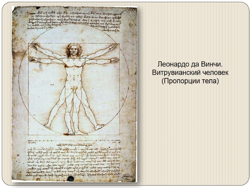 Леонардо да Винчи. Витрувианский человек (Пропорции тела)